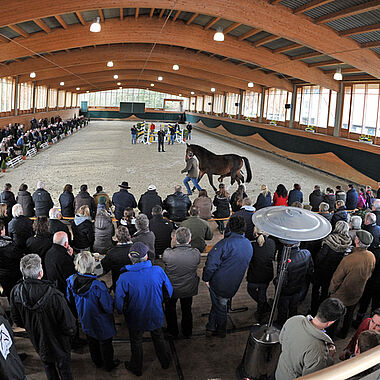 Die großzügige 20x60m halle bietet auch für Veranstaltungen allerbeste Voraussetzungen