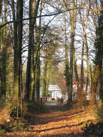 Direkt vom Gestüt geht es in den zum Teil gestütseigenen Wald.