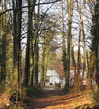Direkt vom Gestüt geht es in den zum Teil gestütseigenen Wald.
