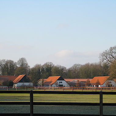Weitläufige Weideflächen
