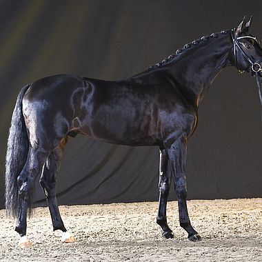Total Darkness-01-23-04 307