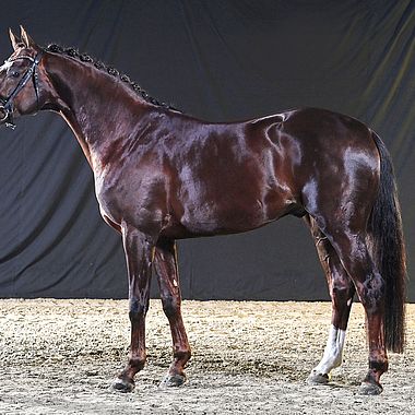 Val Rouge-01-23-04 299 2