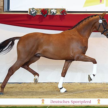SIEGERHENGST München 2023