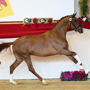 gekört in München 23